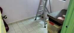 Hume Park I (D21), Condominium #458759811